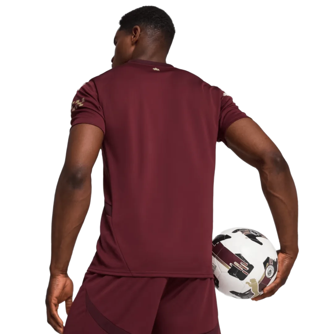 CAMISETA PUMA MANCHESTER CITY 775201-03