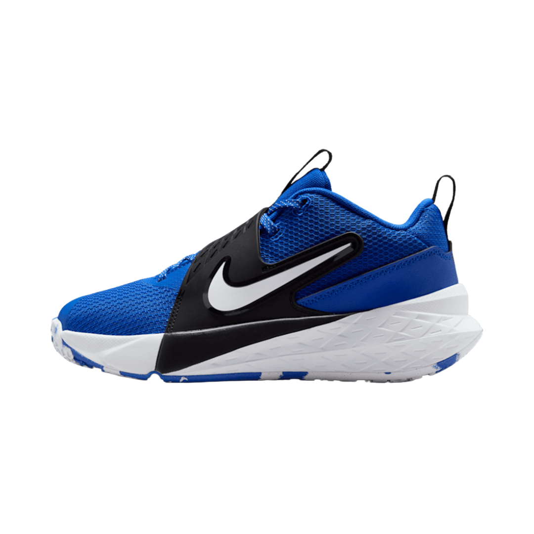 ZAPATILLAS DE BASKETBALL NIKE TEAM HUSTLE D 12 JUVENIL | HF6279-400