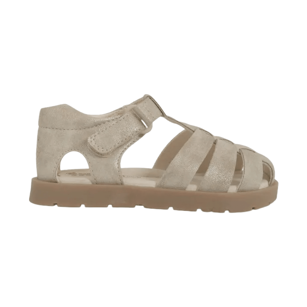 SANDALIAS COLLOKY CANGREJERA DORADO BEBÉS | 430402 COLLOKY 21 CL / 13.3 CM - CalzadosPaola